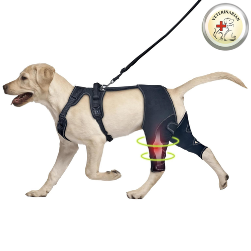 PawSupport™ Dual Dog Knee Brace
