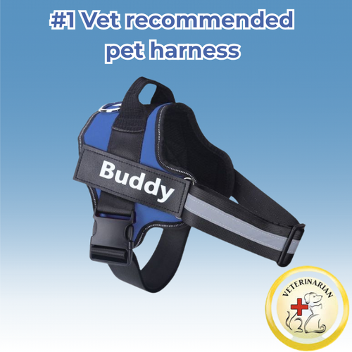 SafeStride™ Harness