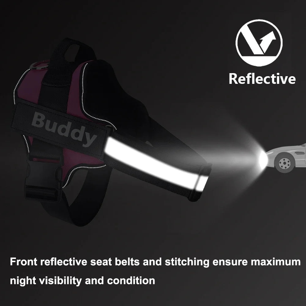 SafeStride™ Harness