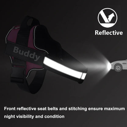SafeStride™ Harness
