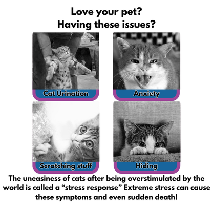 Calm Your Cat Fast  Vet-Recommended PeacePaw™ Diffuser Kit