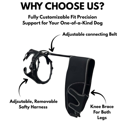 PawSupport™ Dual Dog Knee Brace