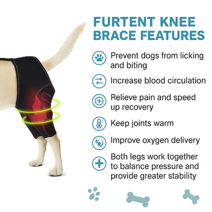 PawSupport™ Dual Dog Knee Brace