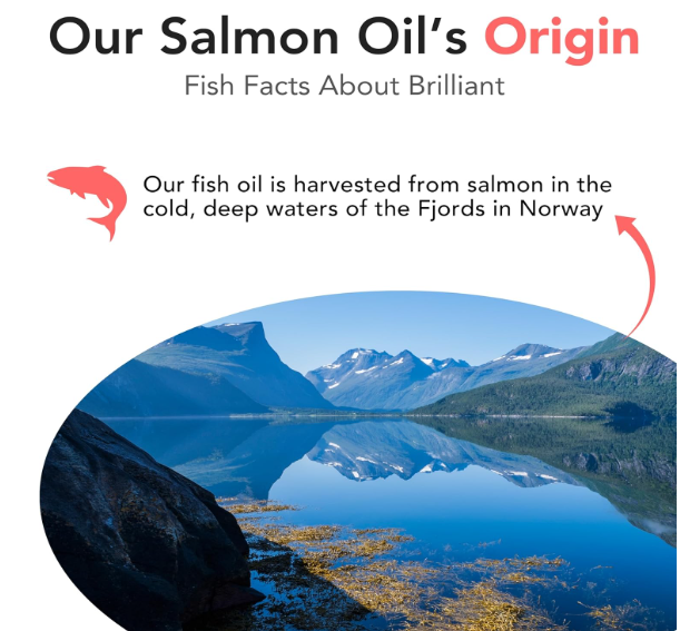 Brilliant Salmon Oil