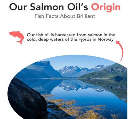 Brilliant Salmon Oil