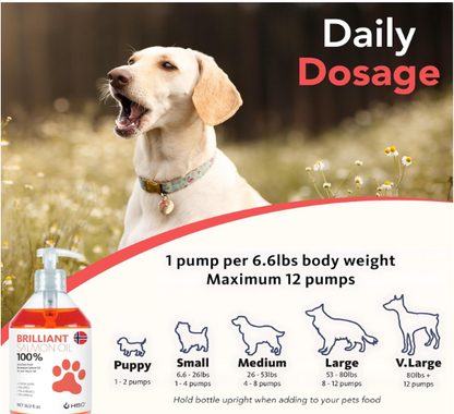 Brilliant Salmon Oil