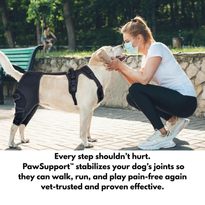 PawSupport™ Dual Dog Knee Brace