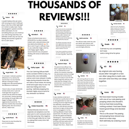 Calm Your Cat Fast  Vet-Recommended PeacePaw™ Diffuser Kit